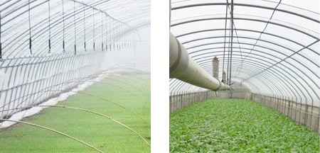 ���Ҵ��ﱣ�ذl(f��)����|ʹ��Ч��