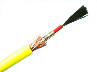 ̼�w�S�l(f��)����|��(sh��)��D