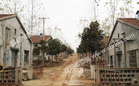 ���վG���B(y��ng)�i��(ch��ng)ȫ��