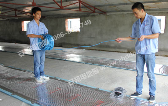 ��O�z�y�����İl(f��)����|